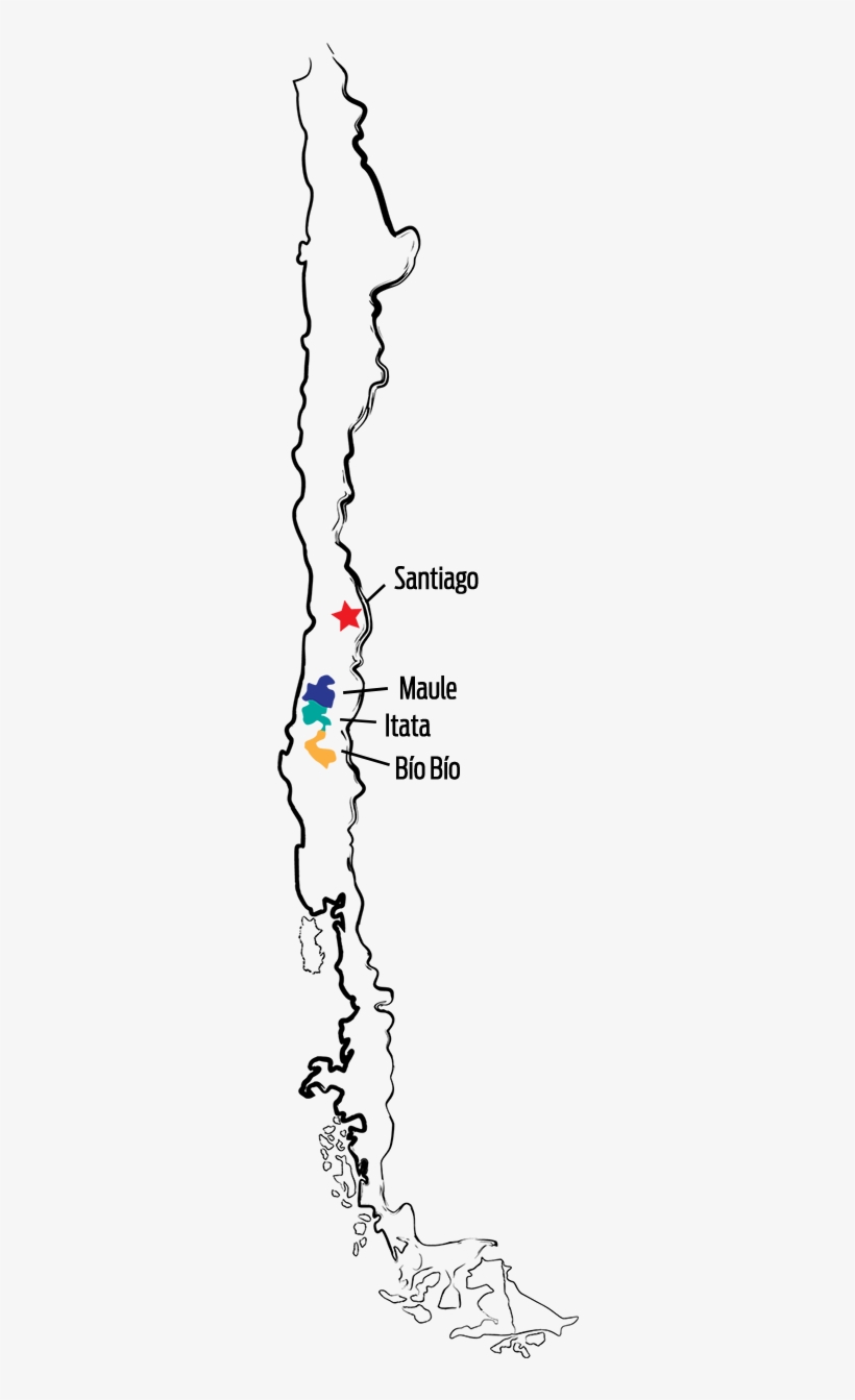 They Believe Chile, Best Known For Varieties Such As - Parallel, transparent png #8658700