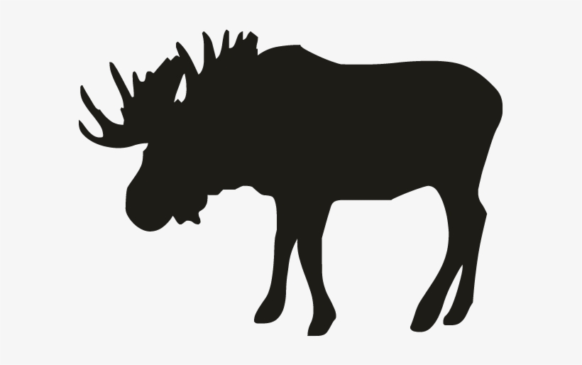 Smock Moose Motif - Attention Moose, transparent png #8659521