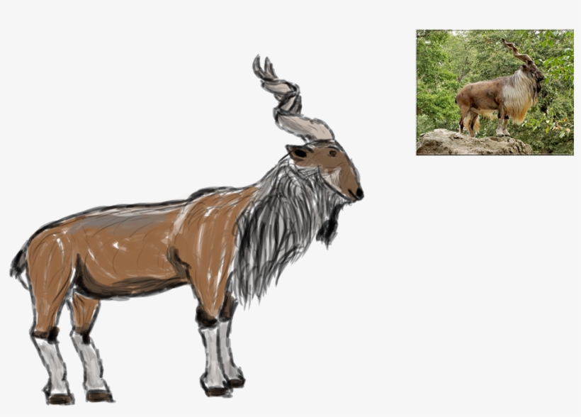 A Still Life Drawing Of A Dragon Ball Ornament Found - Mane, transparent png #8659881