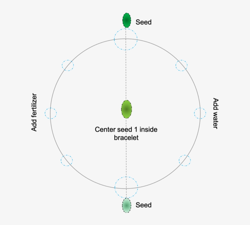 6 - Circle, transparent png #8661246