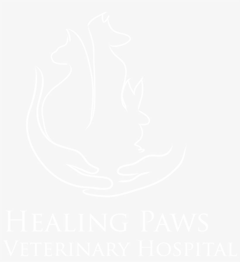 1578 X 1675 2 - Png Format Twitter Logo White, transparent png #8661974