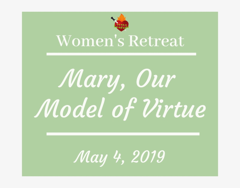 Picture - Insect, transparent png #8661976