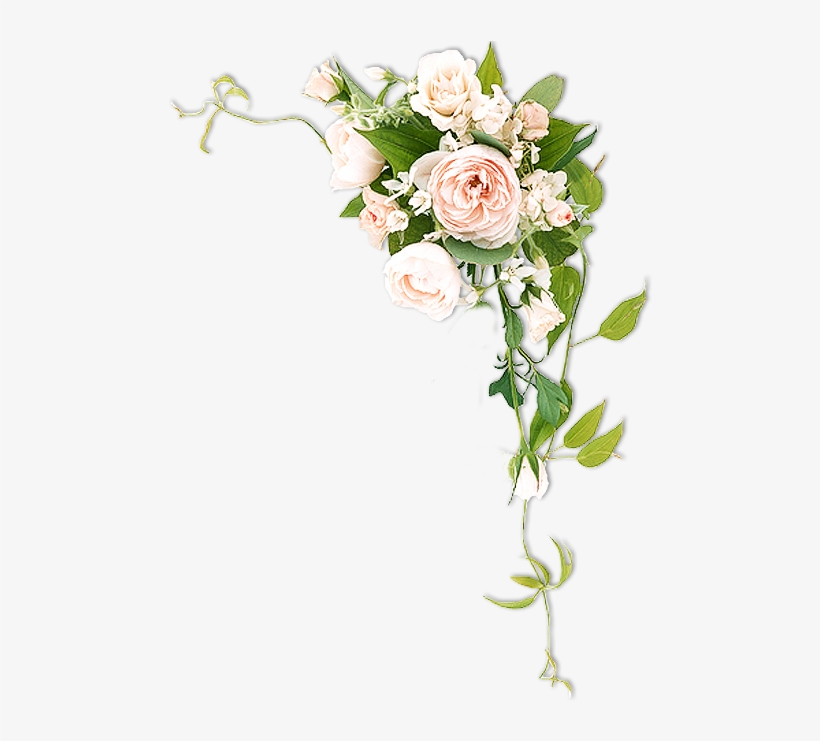 Http - //syedimranrocks - Blogspot - In/ - Flower, transparent png #8662348