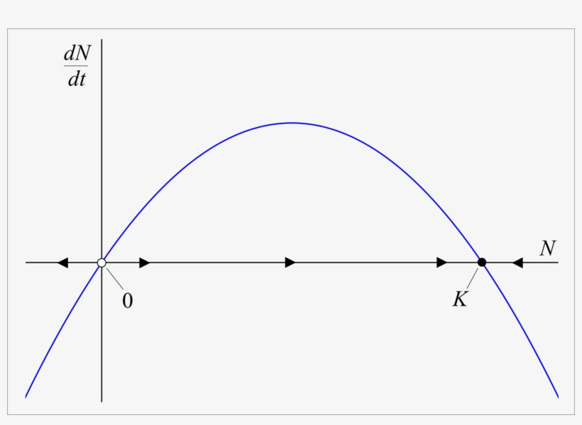 Stability Of Logistic Equation - Diagram, transparent png #8662571