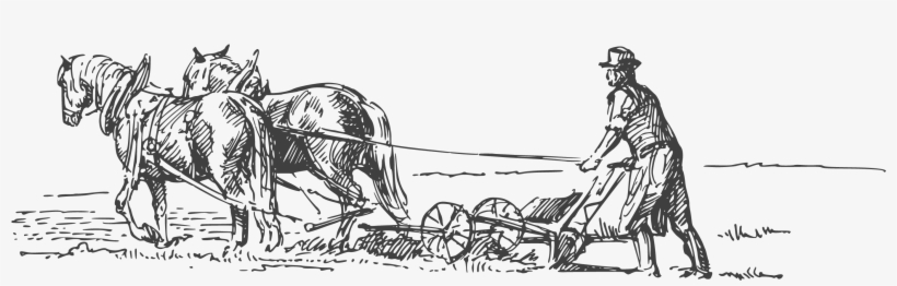 É Esta A Característica Principal Dos Nossos Três Restaurantes, - Horse And Buggy, transparent png #8663053