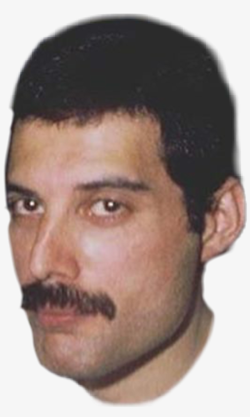 Freddiemercury Sticker - Freddie Mercury Face Png, transparent png #8663720