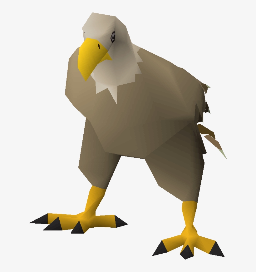 Bald Eagle, transparent png #8664043
