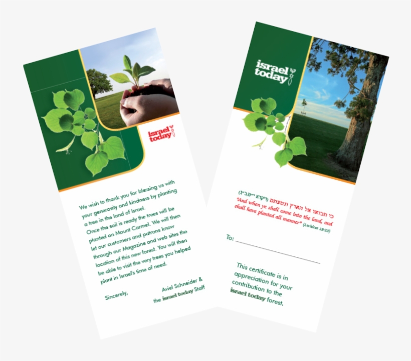 Help Plant The Land Of Israel By Planting A Trees In - Brochure, transparent png #8664933