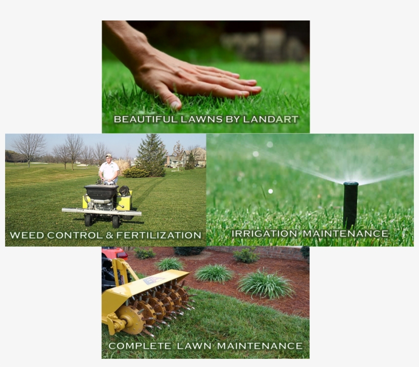 Small Or Large, Single Project Or Season Long Care, - Lawn, transparent png #8665876