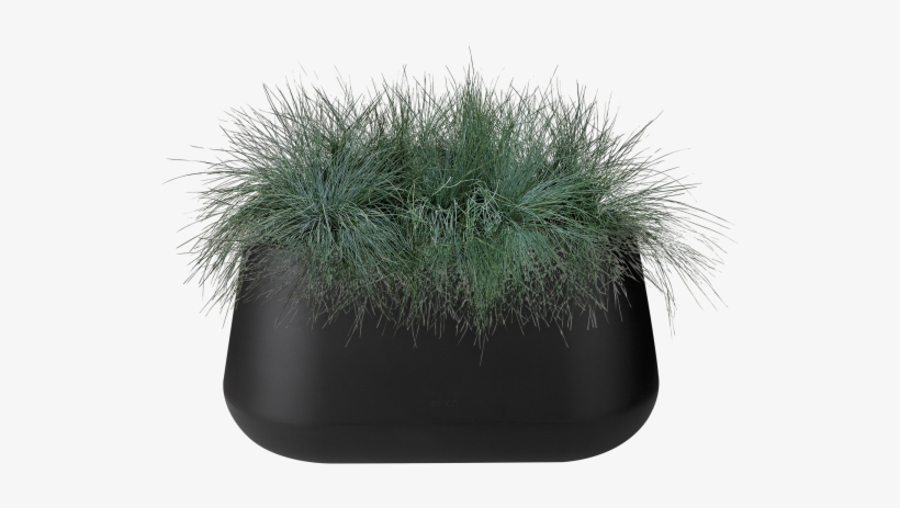 Home > Collection > Pure Cone Long - Grass, transparent png #8665922