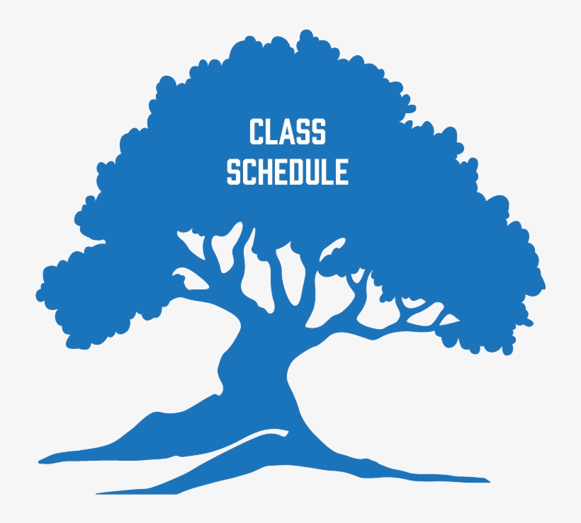 Class Schedule Tree Icon - Waiwera, transparent png #8666217