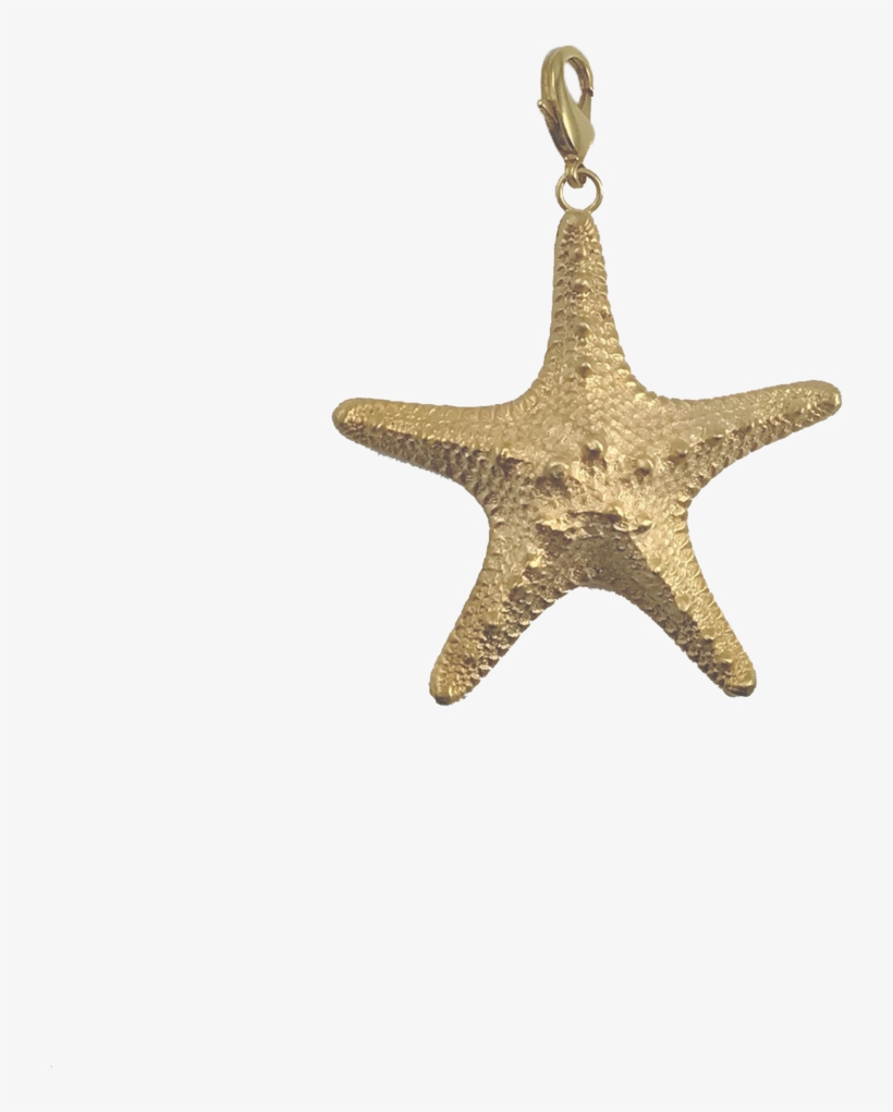 Studded Starfish Enhancer - Locket, transparent png #8667361