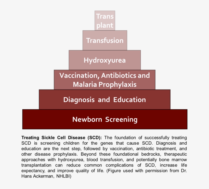 Sickle Cell Disease In Sub Saharan Africa Using Science - Colorfulness, transparent png #8668023