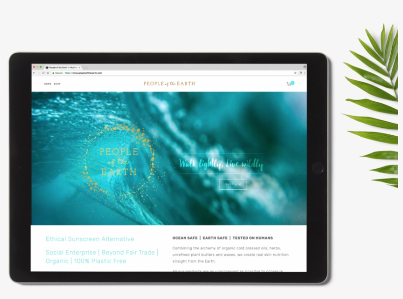 Website-1 - Web Page, transparent png #8669810