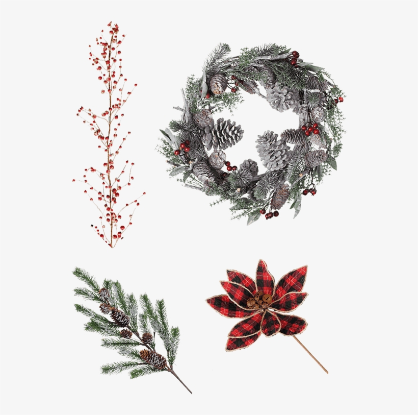 Floral - Illustration, transparent png #8669912