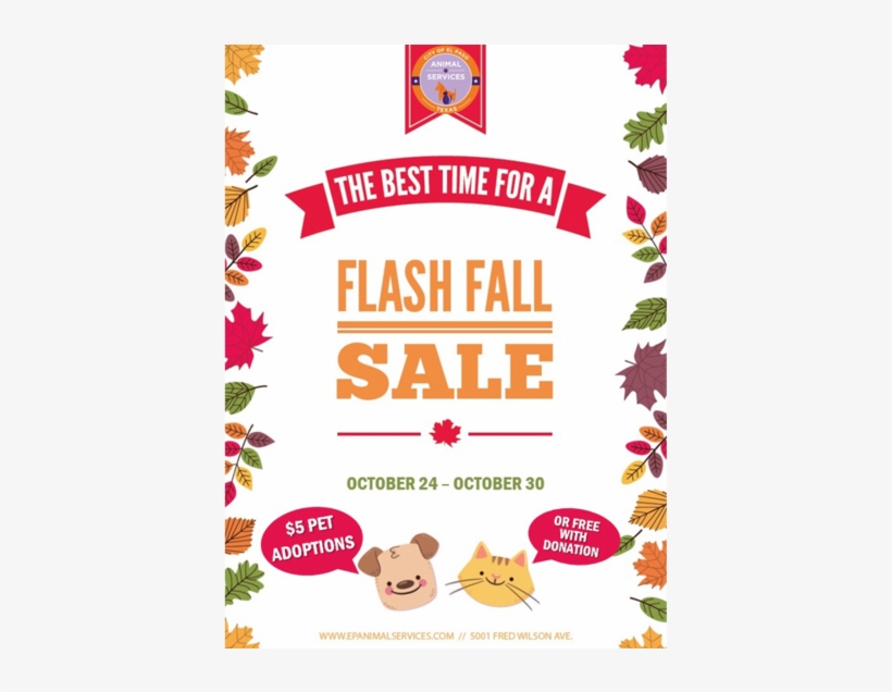 Flash Fall Sale Lets Residents Adopt A Pet For $5 Or - Paw, transparent png #8670837
