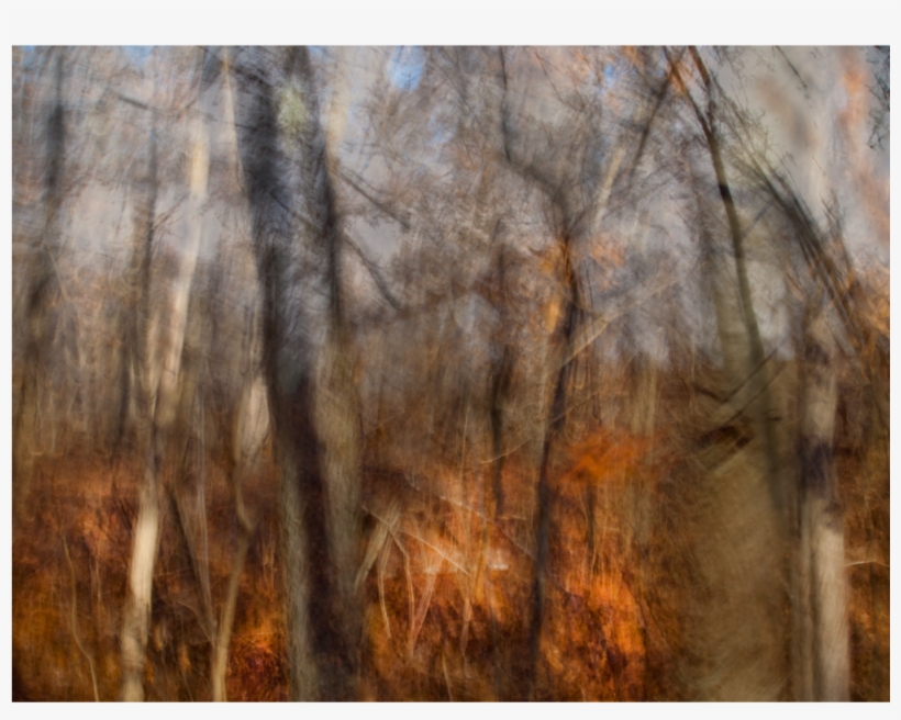 Mosaic Trees Web - Painting, transparent png #8670935