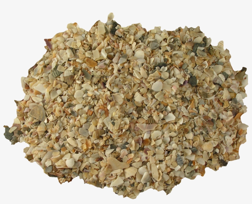 Aquarium Shell Sand Small Kilos - Gravel, transparent png #8672489