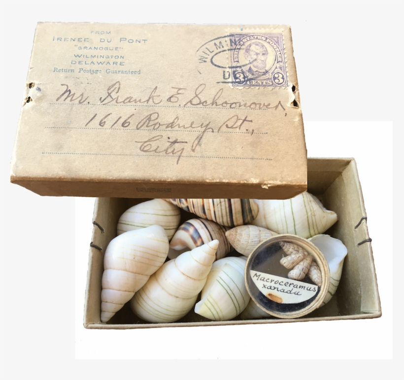 Du Pont's Delaware Estate, The Tiny Box Is Addressed - Cockle, transparent png #8672530