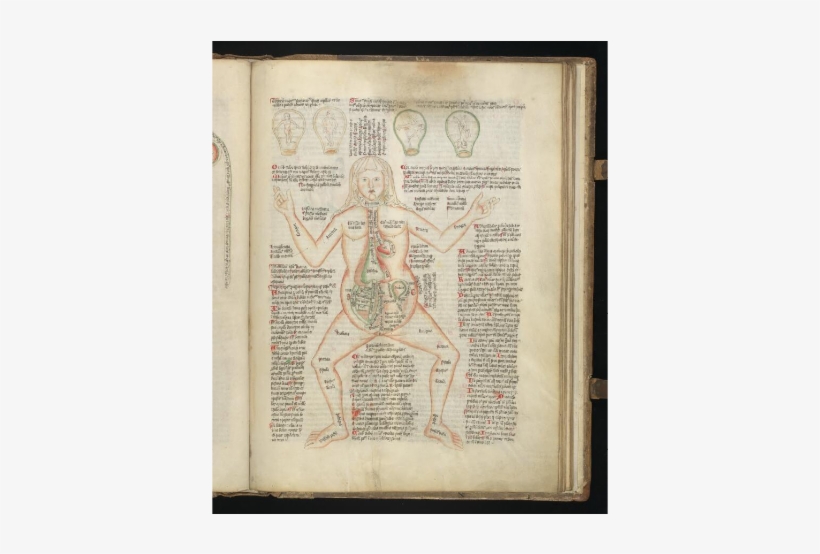 Welcome The „wellcome Apocalypse“ - Poster, transparent png #8673793