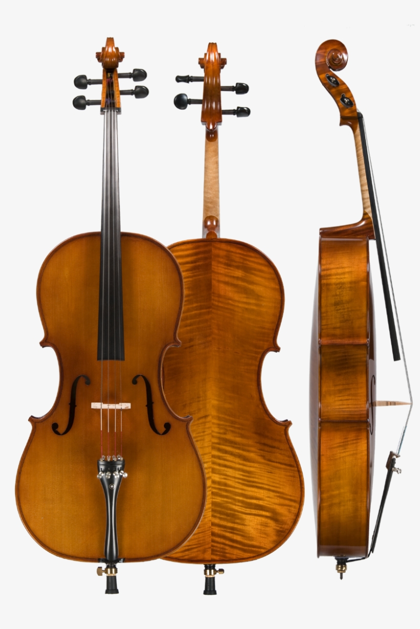 Model - Cello 4 4, transparent png #8674527