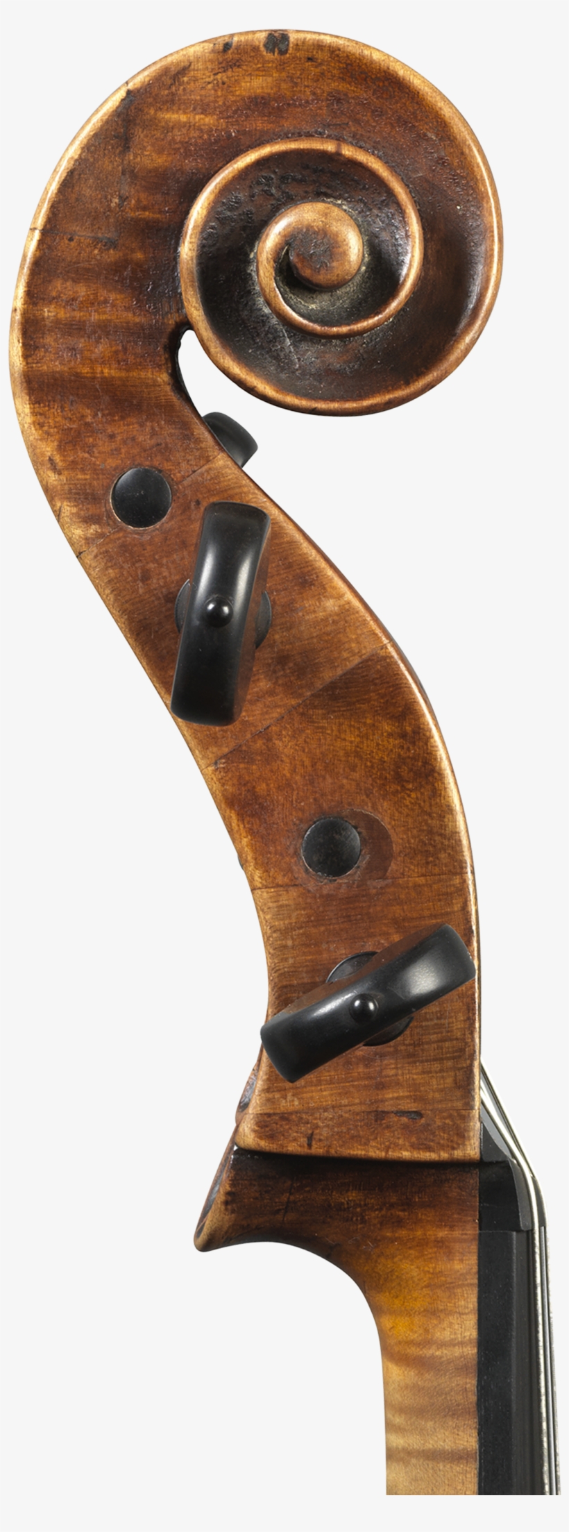 1 - Violin, transparent png #8674696