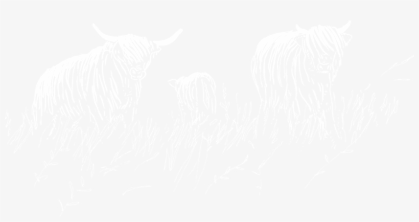3 - Usgs Logo White, transparent png #8675026