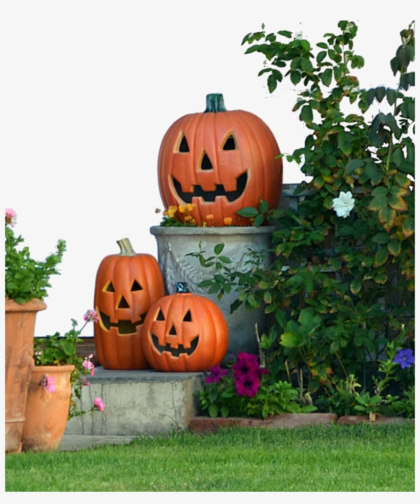 Pumkin Png - Jack-o'-lantern, transparent png #8675108