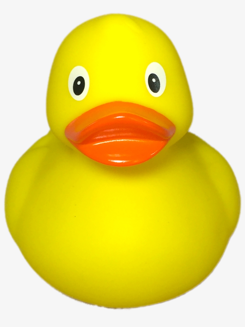 Rubber Ducks - Duck, transparent png #8675568