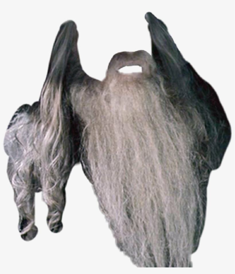 Gandalf Sticker - Rhinoceros, transparent png #8675747