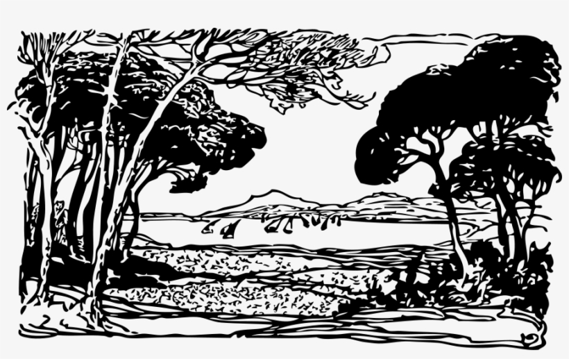 Les Pins Png, transparent png #8676487