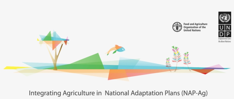 Supporting Developing Countries To Integrate The Agricultural - United Nations Development Programme, transparent png #8676669