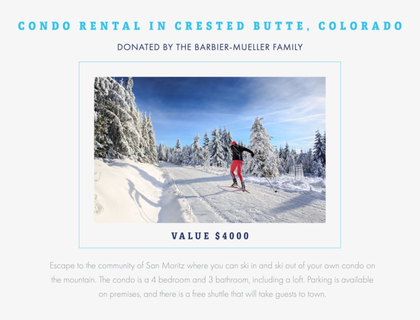 Raffle Item 2 - Skier Stops, transparent png #8677108