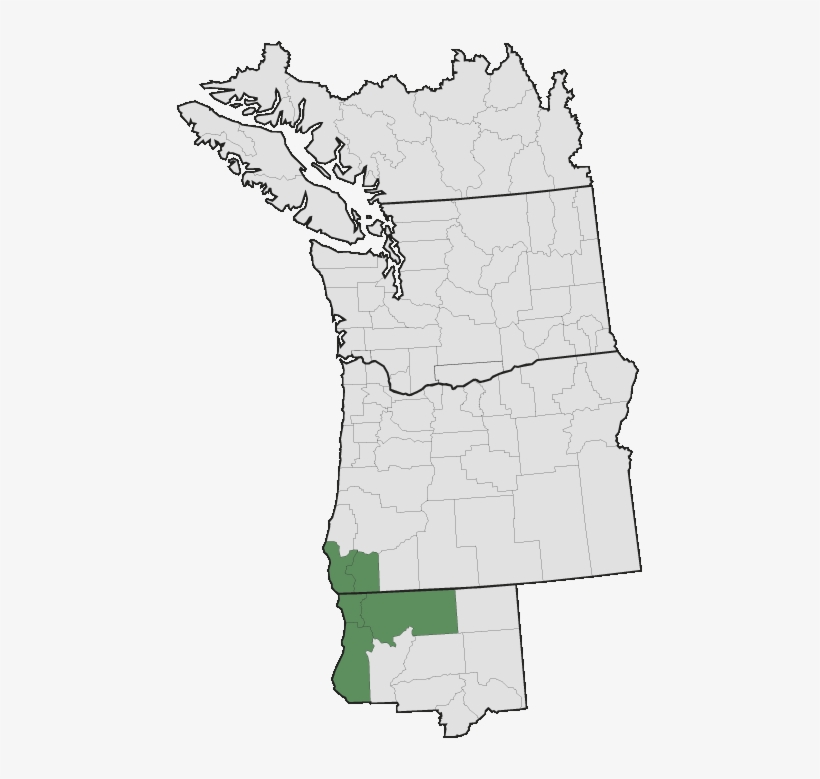 More Information - - Map, transparent png #8677261