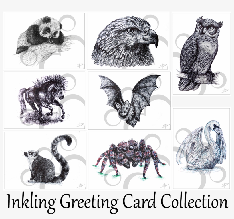 Inkling Greeting Card Collection - Alcaldia De La Dorada, transparent png #8677262