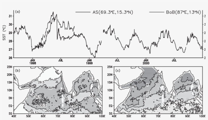Evolution Of Daily Buoy Sst (2 - Diagram, transparent png #8678137