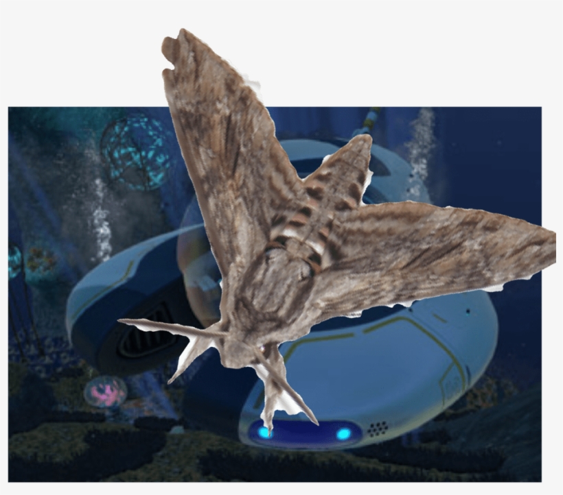 Funny Subnautica And Memes - Osprey, transparent png #8678811