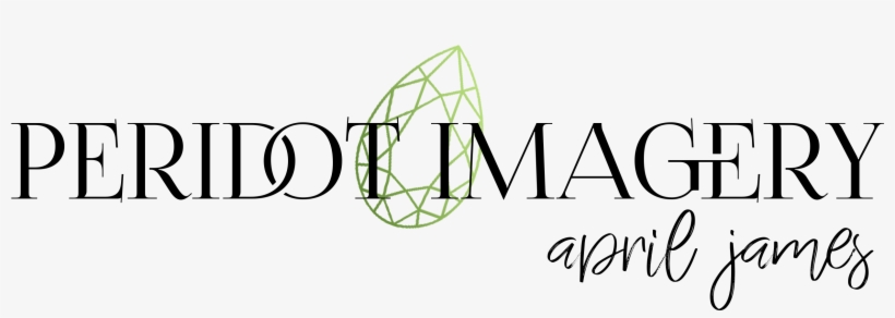 Circle, transparent png #8683416