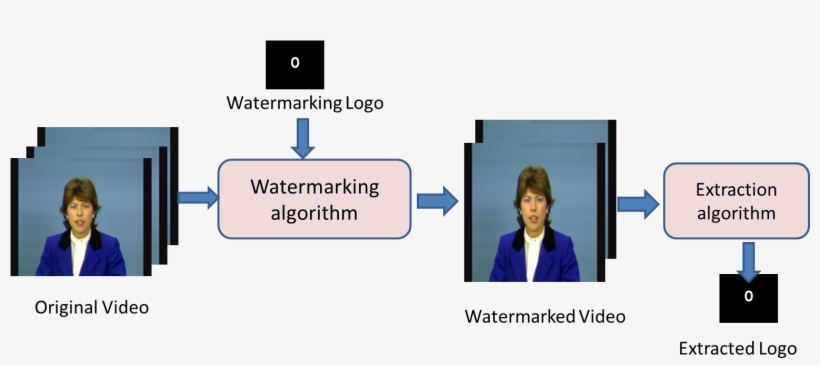 Digital Video Watermarking Is A Technique Which Inserts - Diagram, transparent png #8684151