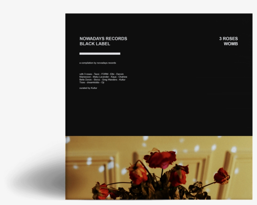 3 Roses - Garden Roses, transparent png #8685065