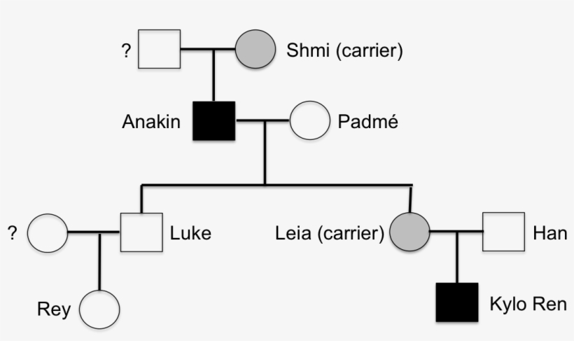 Post 115491 0 32177500 1451841880 Thumb - Star Wars Genetics, transparent png #8685073