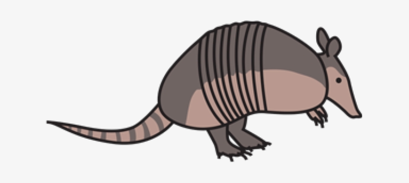 Armadillo Clipart Clip Art - Armadillo, transparent png #8685484