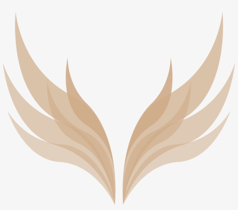 Valkyrie Wings Png - Free Transparent PNG Download - PNGkey