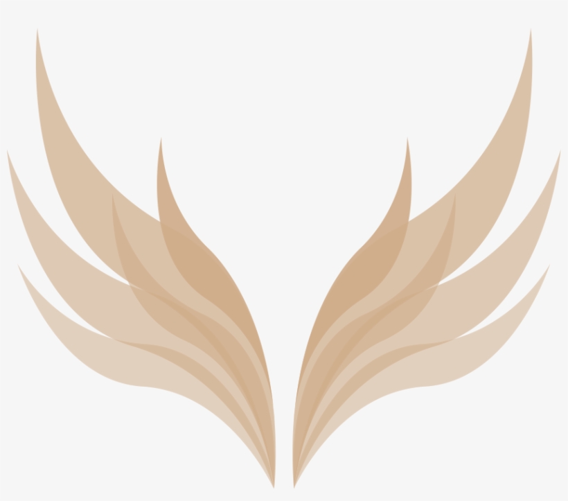 Valkyrie Wings Png - Free Transparent PNG Download - PNGkey Valkyrie Wings Png - Free Transparent PNG Download - PNGkey