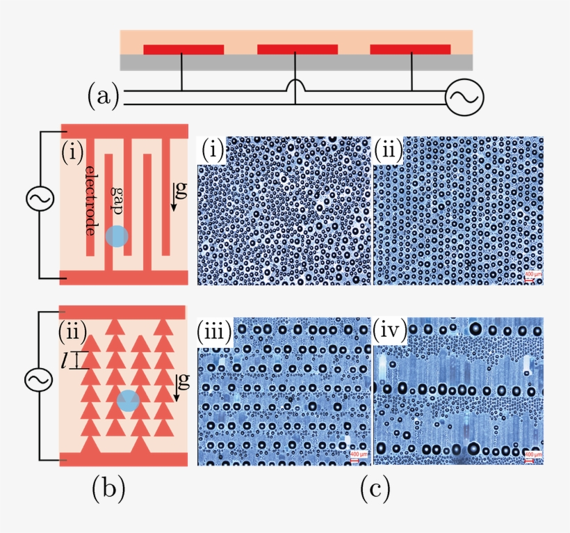 Schematic Of The Substrate Used For The Condensation - Pattern, transparent png #8686523