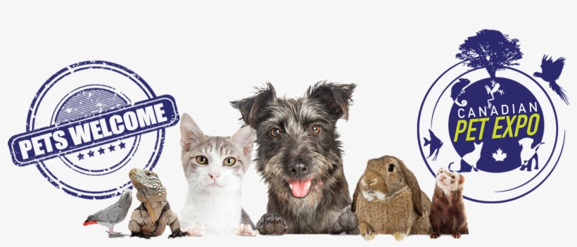 Don't Forget To Bring Your Pet Waiver - Tree Clip Art, transparent png #8686562