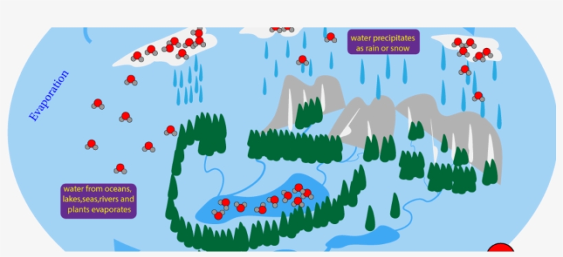 The Cycle Consists Of Evaporation, Condensation And - Illustration, transparent png #8686946