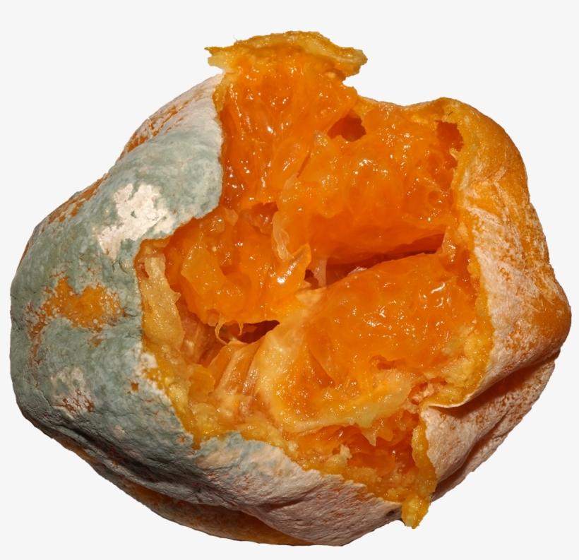 Citrus Fruit Mold - Pastry, transparent png #8687586