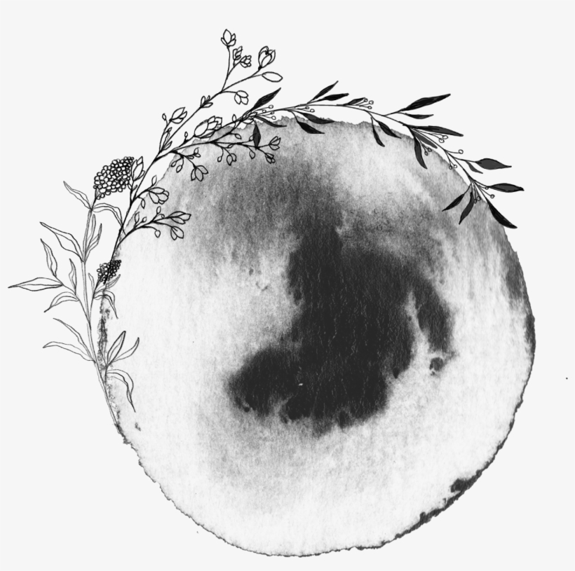 Sketch, transparent png #8687877