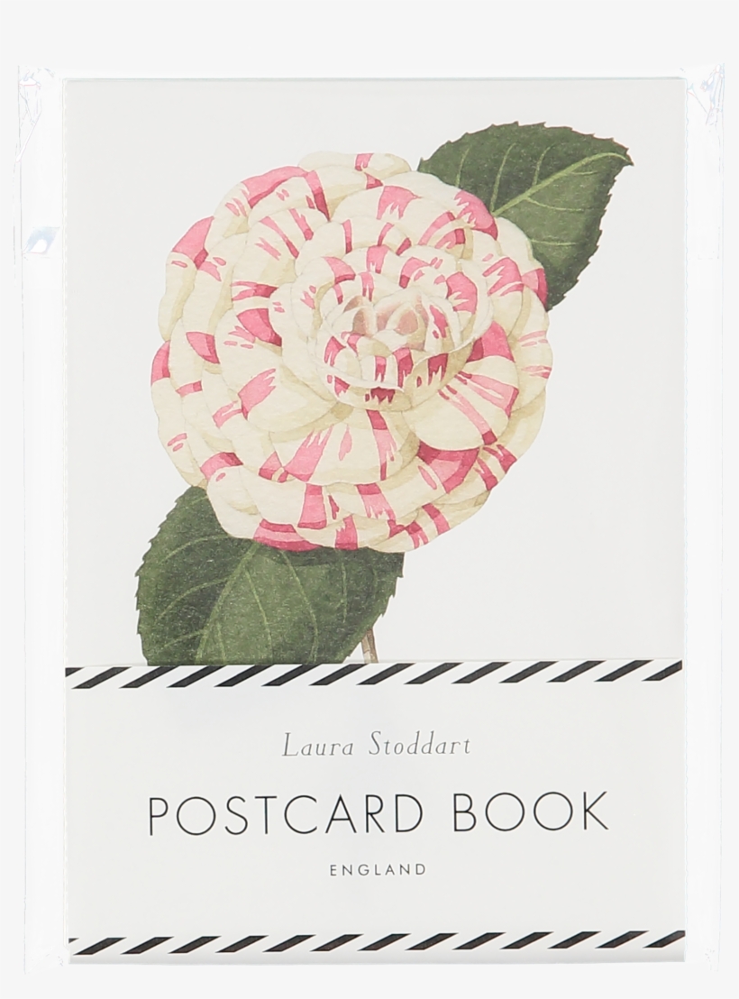 Description - Illustrator, transparent png #8688089